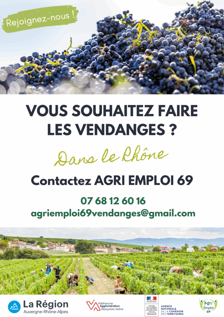 Offre d'emploi vendanges
